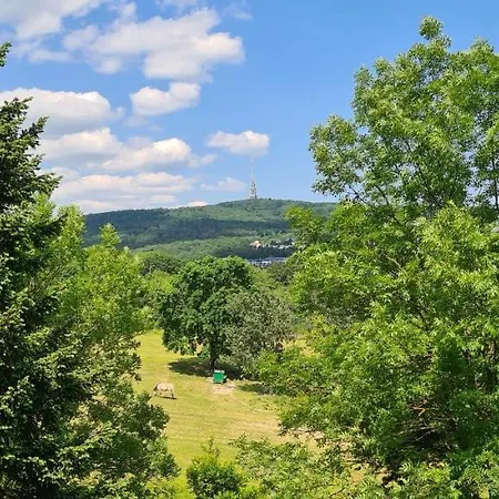 Casa Del Svana * Братислава