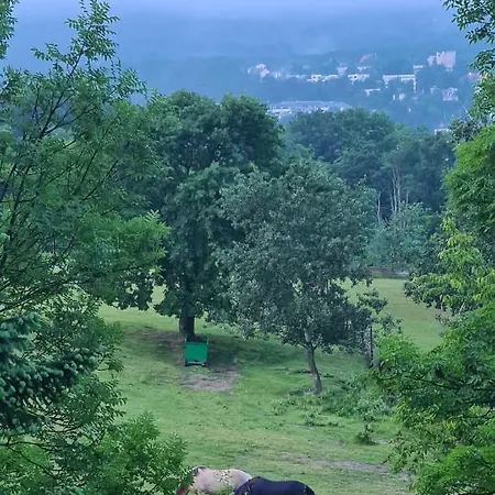 Casa Del Svana Διαμέρισμα *