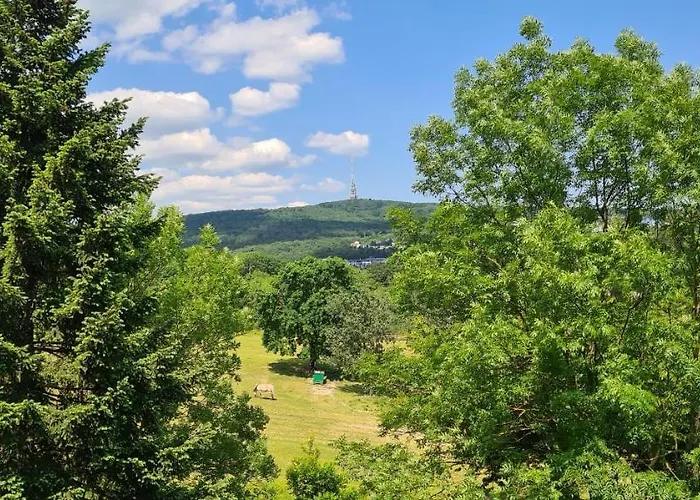 Casa Del Svana * Μπρατισλάβα